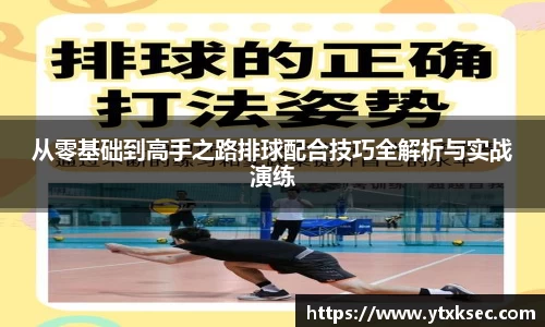 从零基础到高手之路排球配合技巧全解析与实战演练