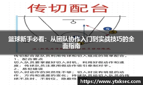 篮球新手必看：从团队协作入门到实战技巧的全面指南